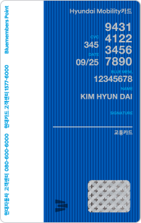 N Line 카드 뒷면